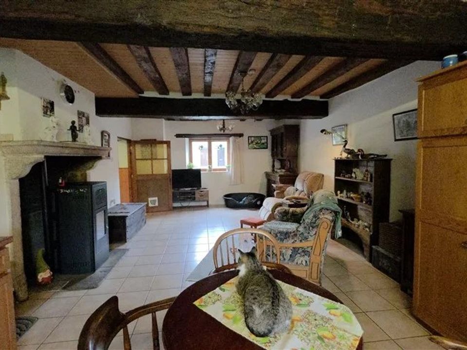 Villa i Lussac-les-Eglises, Haute-Vienne - foto 4