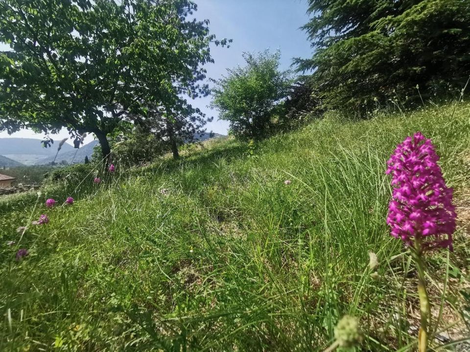 Helårsgrund i Mostuéjouls, Aveyron - foto 3