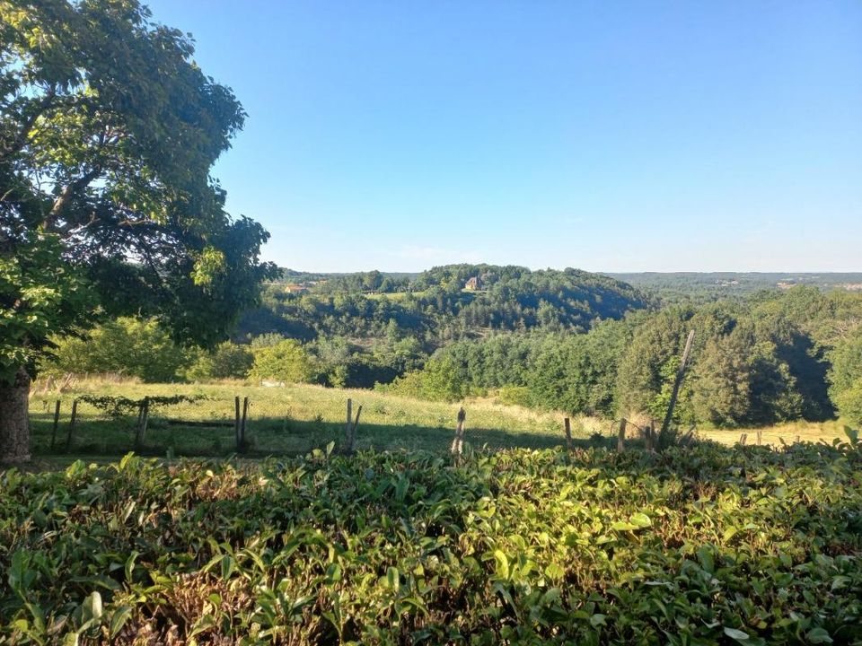 Masia a Rouffignac-Saint-Cernin-de-Reilhac, Dordogne - foto 4