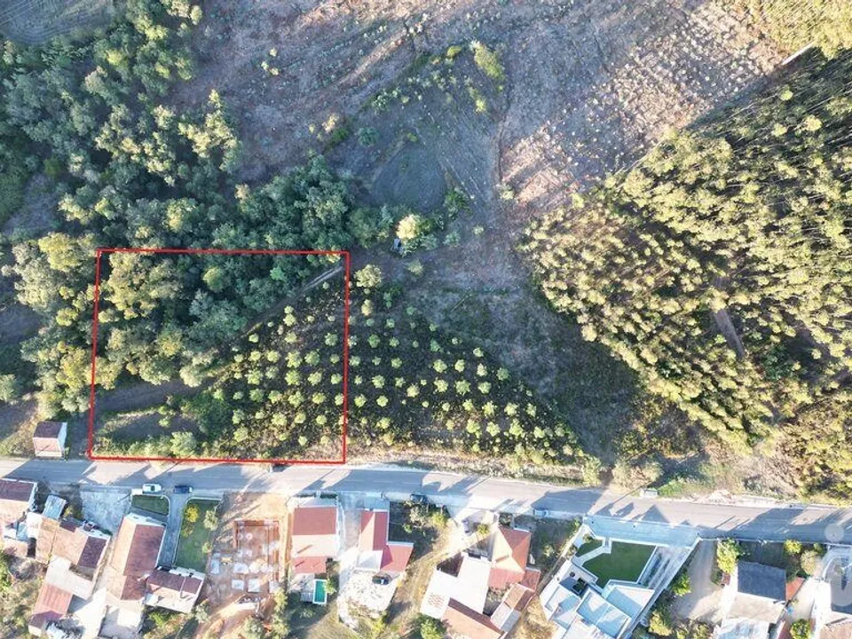 Terreno en Pombal, Leiria - foto 1