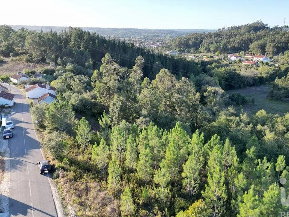 Terreno en Pombal, Leiria - foto 2
