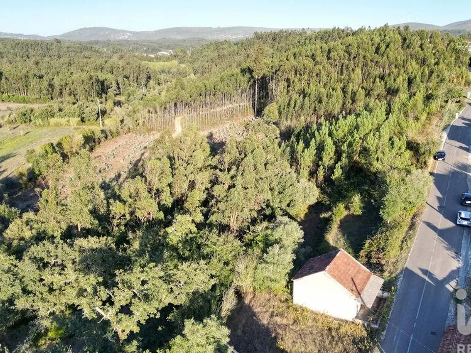 Terreno en Pombal, Leiria - foto 3