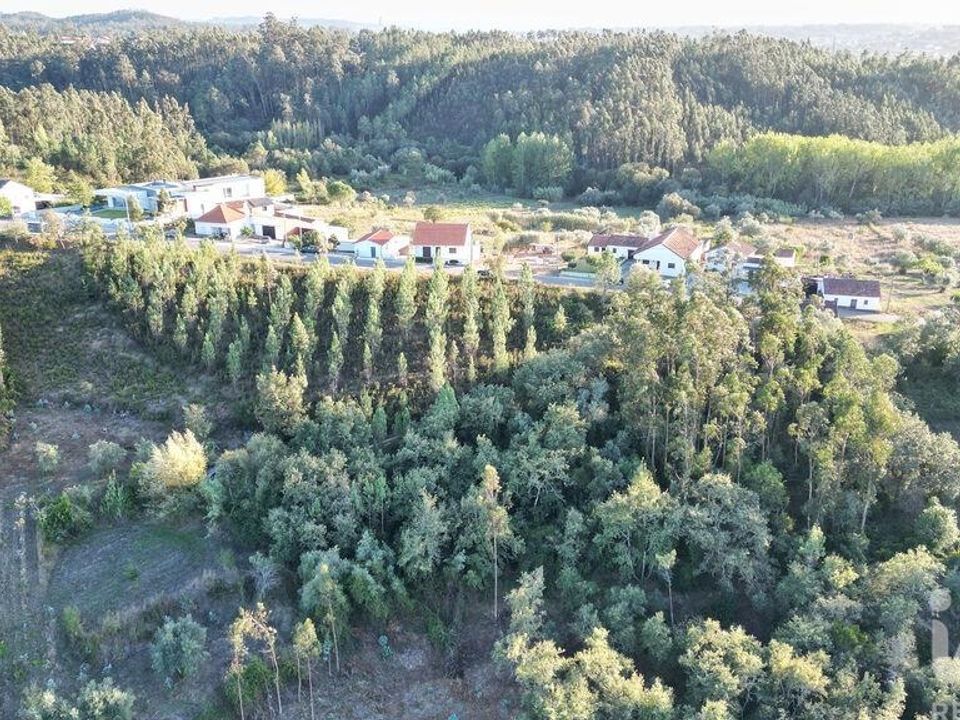 Terreno en Pombal, Leiria - foto 4