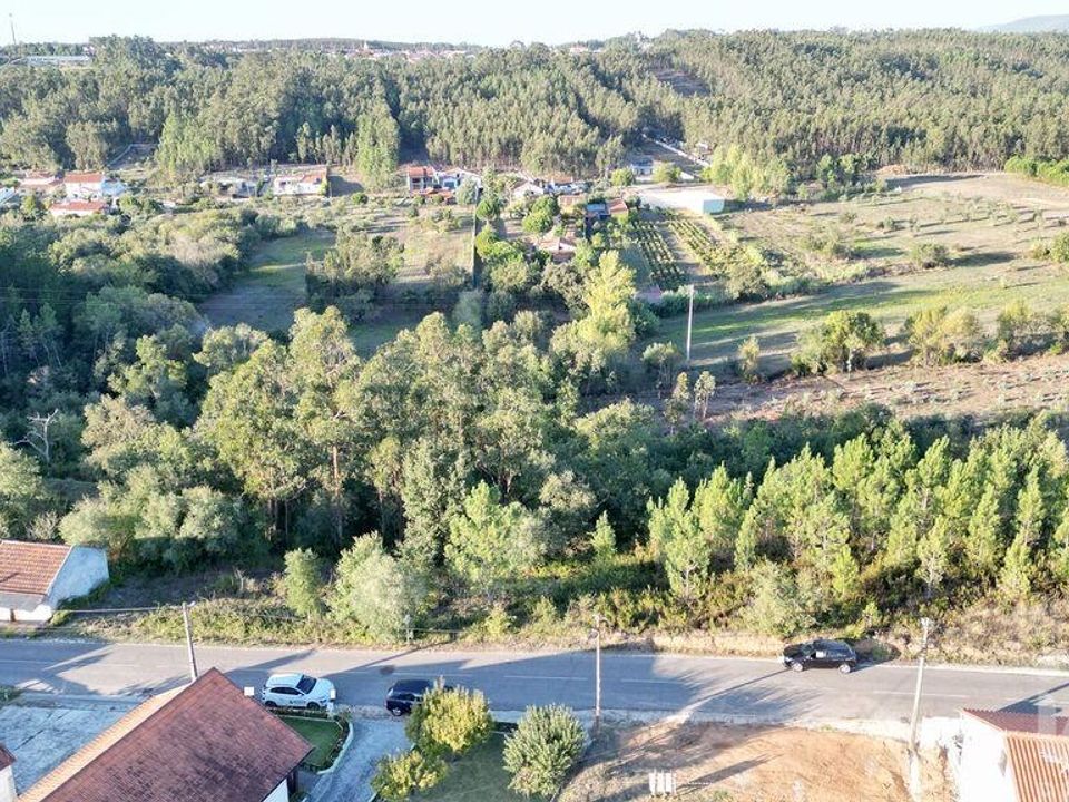 Terreno en Pombal, Leiria - foto 5