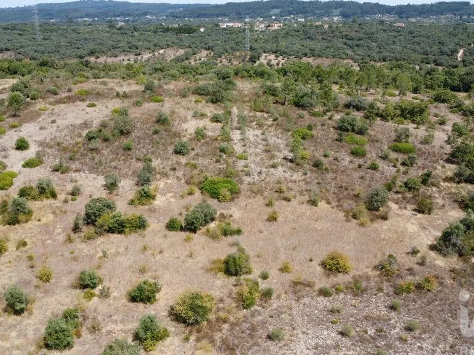 Helårsgrund i Ferreira do Zezere, Santarem - foto 1