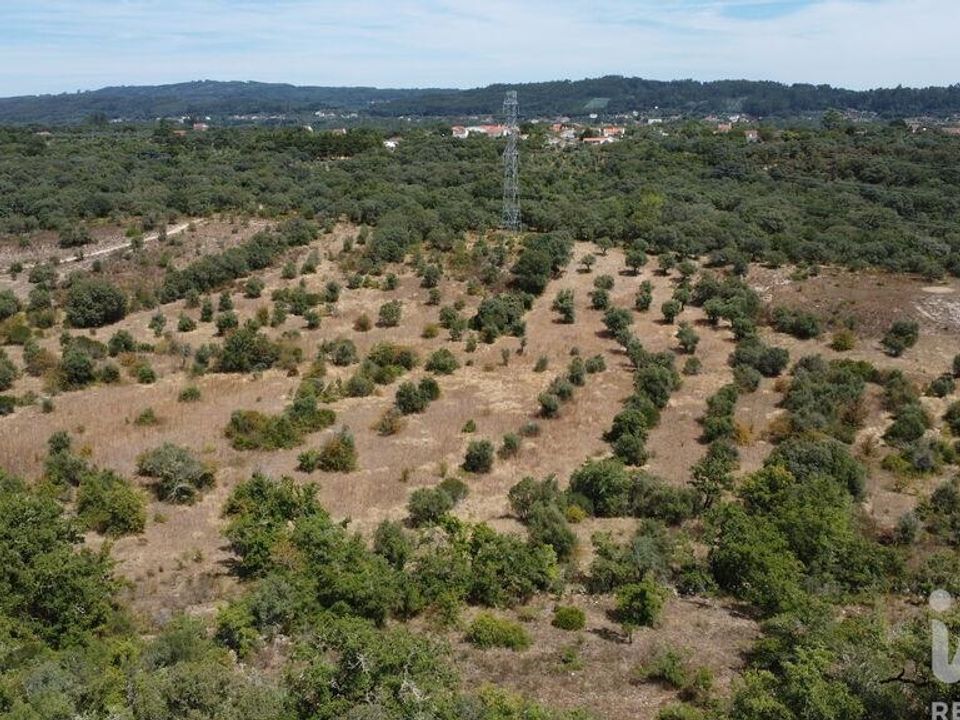 Helårsgrund i Ferreira do Zezere, Santarem - foto 3