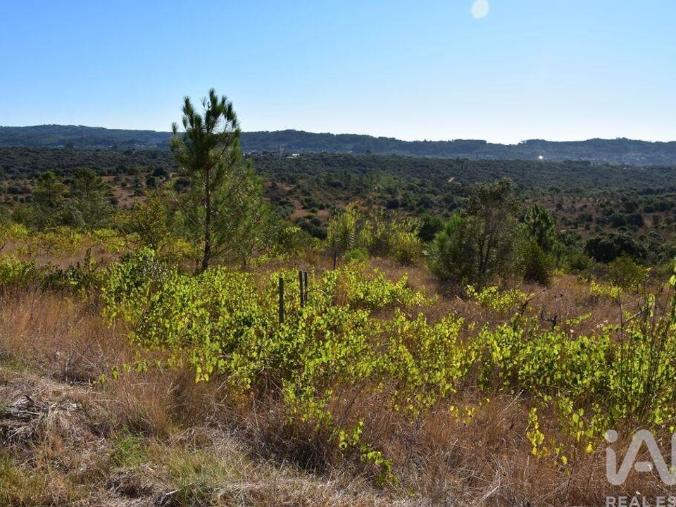 Helårsgrund i Ferreira do Zezere, Santarem - foto 4