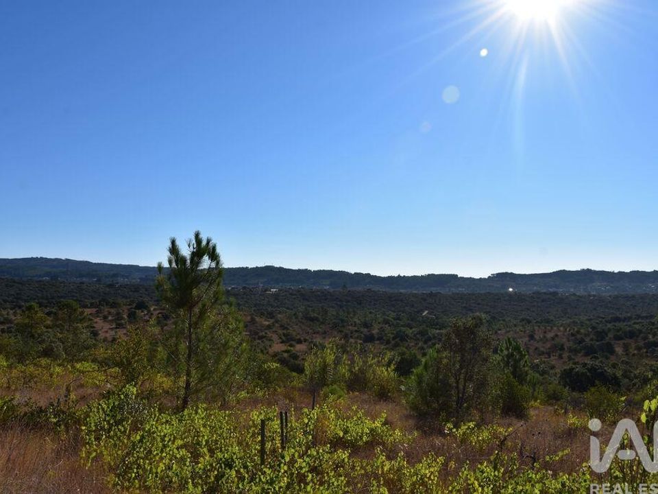 Helårsgrund i Ferreira do Zezere, Santarem - foto 5