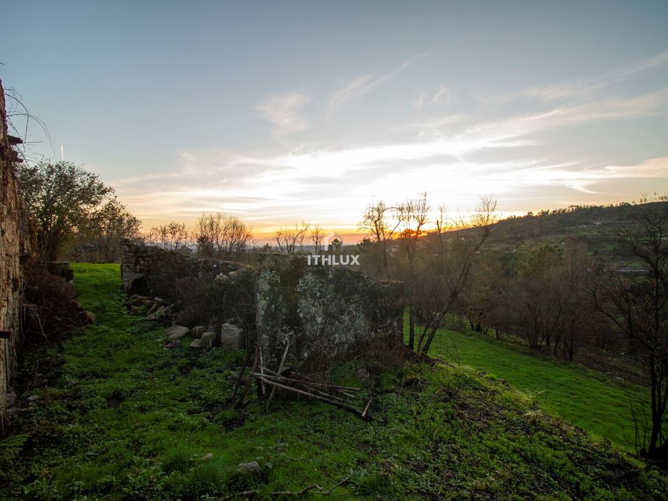 Farm hus i Mangualde, Viseu - foto 3