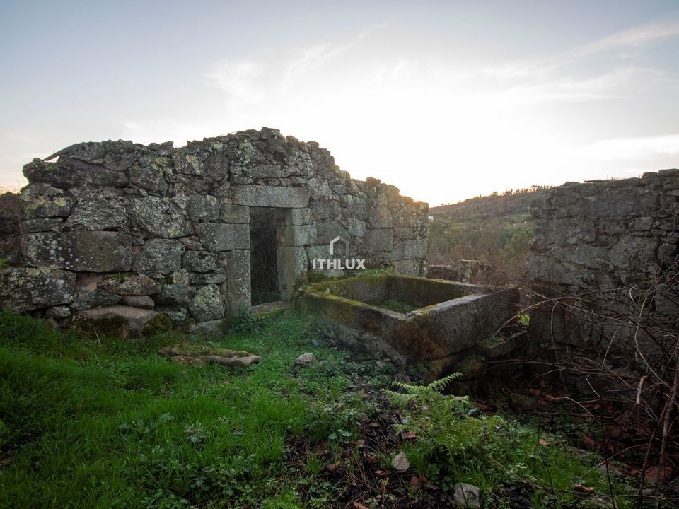 Farm hus i Mangualde, Viseu - foto 5