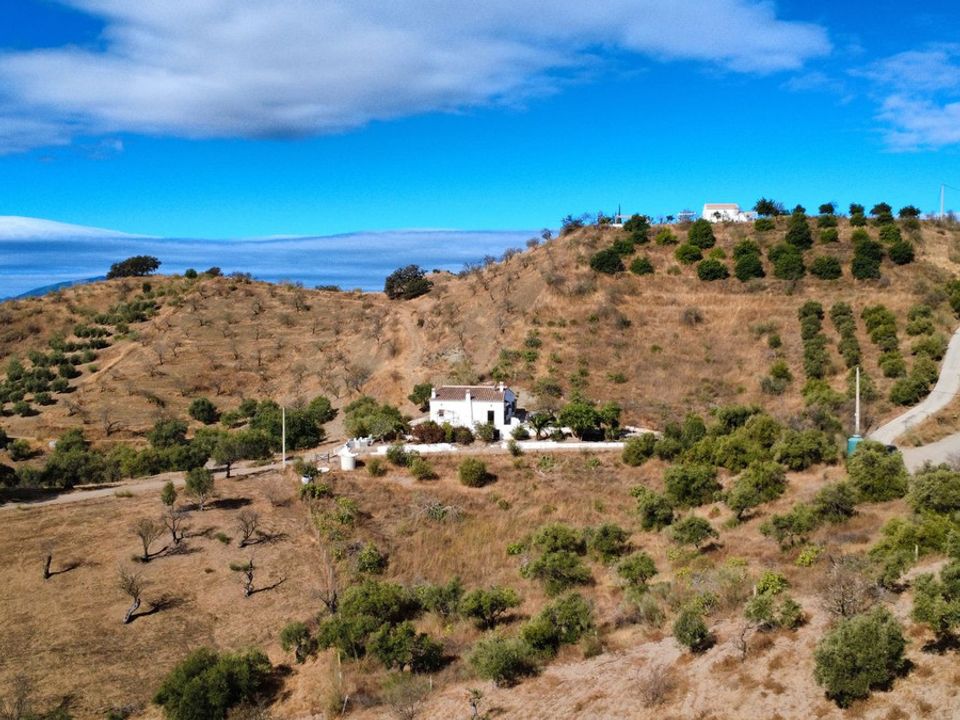Cortijo i Alora, Malaga - bilde 4