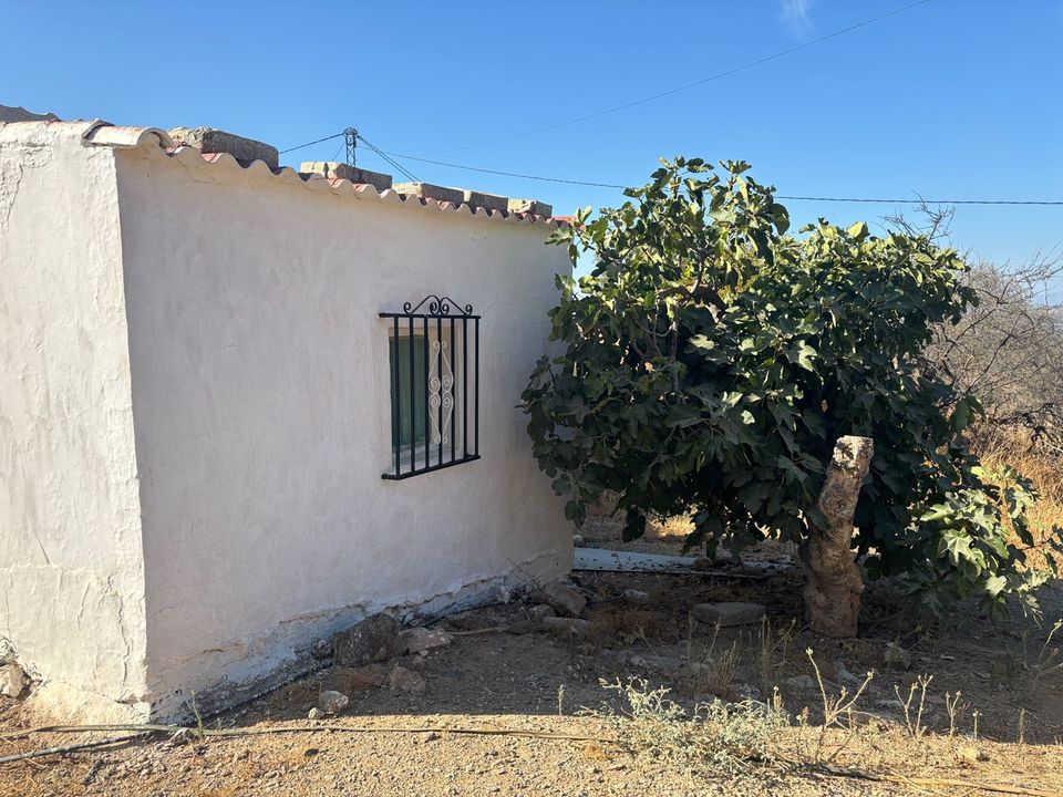 Landejendom i Almogia, Malaga - foto 2