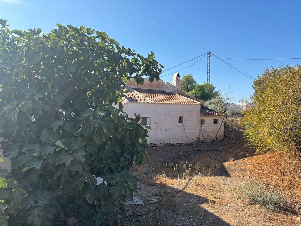 Landejendom i Almogia, Malaga - foto 3