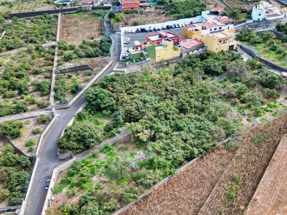 Landejendom i Los Realejos, Tenerife - foto 5