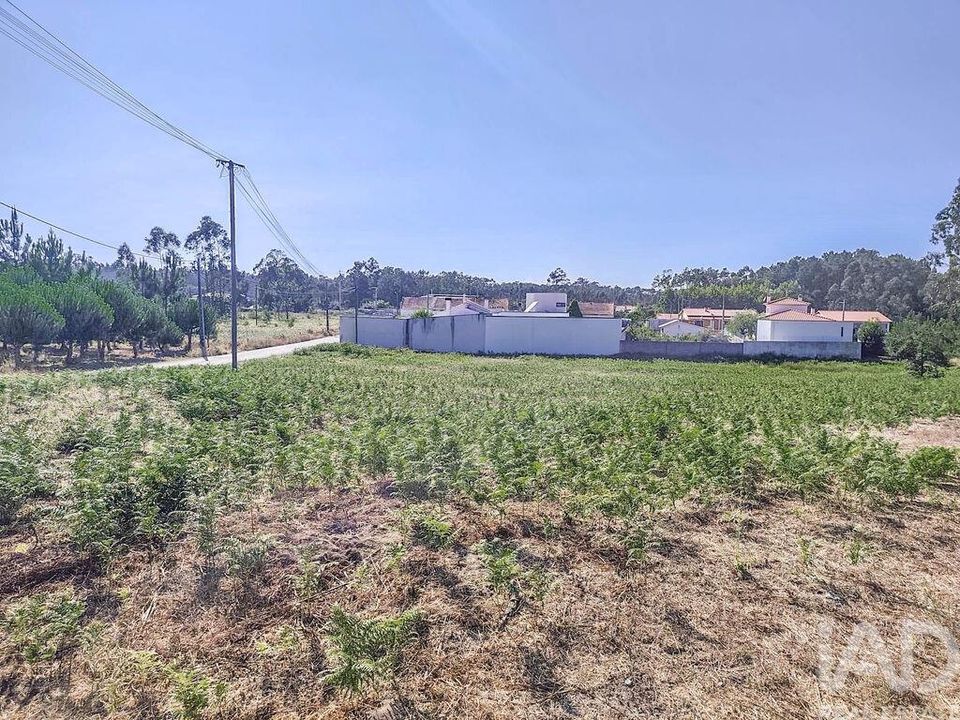 Helårsgrund i Leiria, Leiria - foto 4