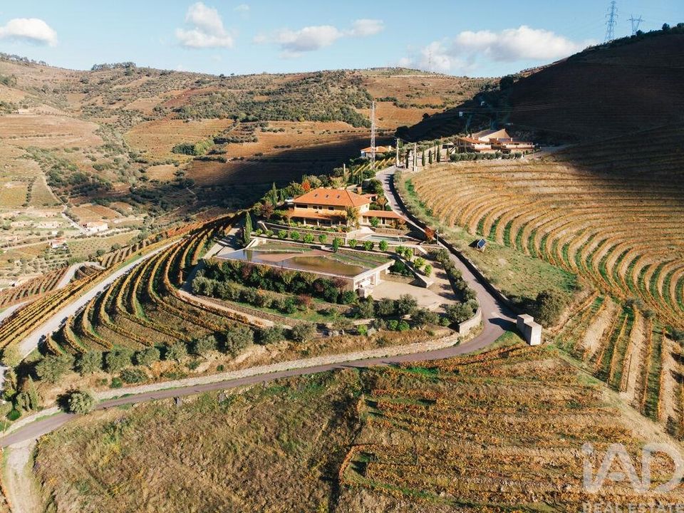 Farm i Armamar, Viseu - foto 5