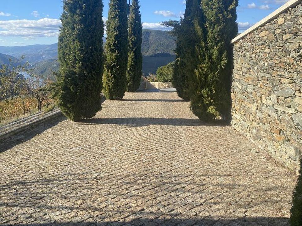 Gård i Armamar, Viseu - bilde 4
