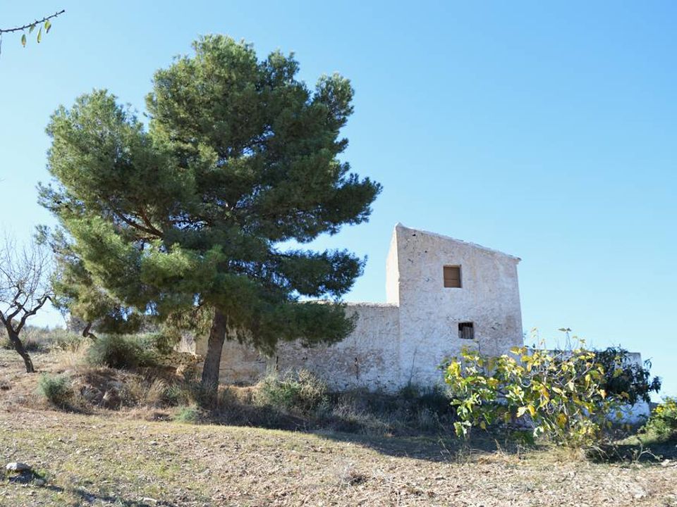 Cortijo i Lubrin, Almeria - bilde 5
