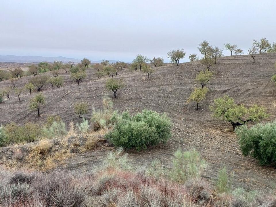 Helårsgrund i Los Pardos, Almeria - foto 1