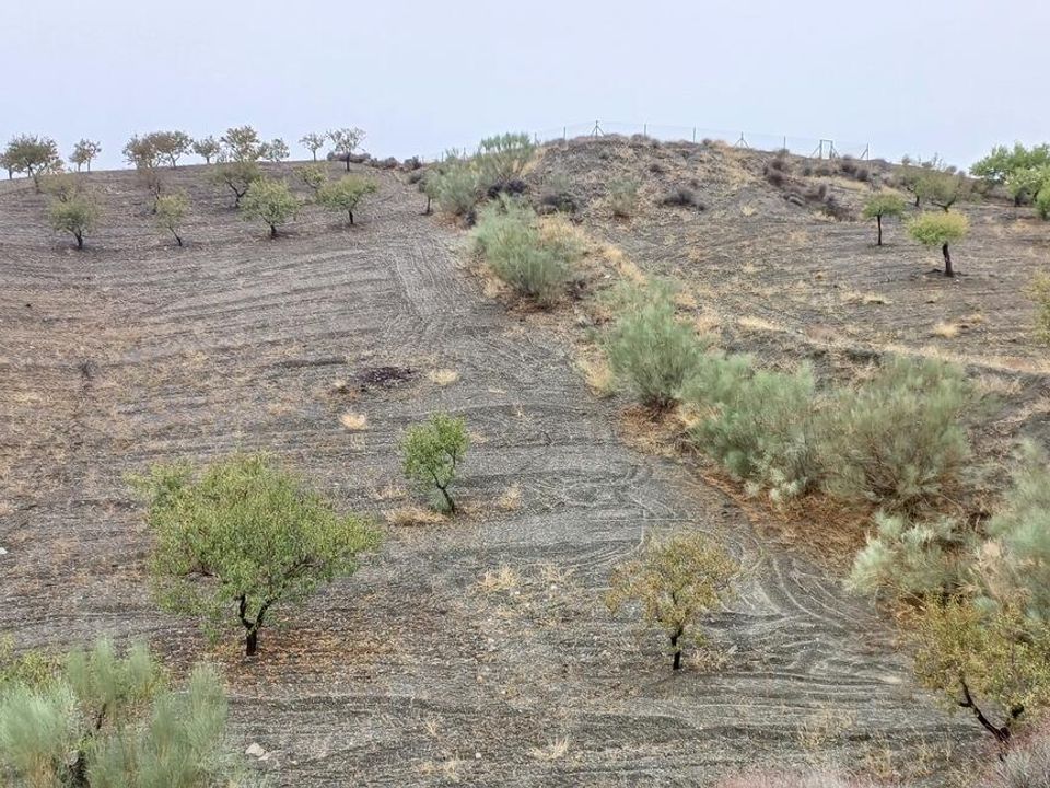 Helårsgrund i Los Pardos, Almeria - foto 3