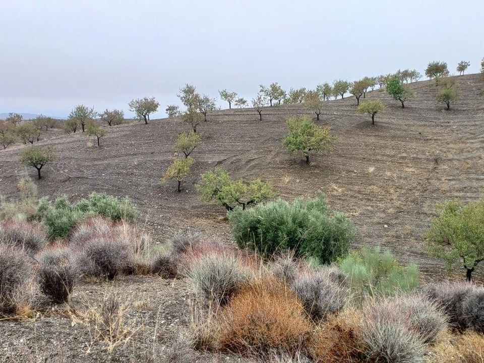Helårsgrund i Los Pardos, Almeria - foto 4