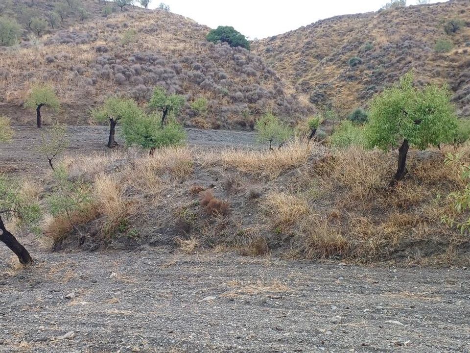 Helårsgrund i Los Pardos, Almeria - foto 1