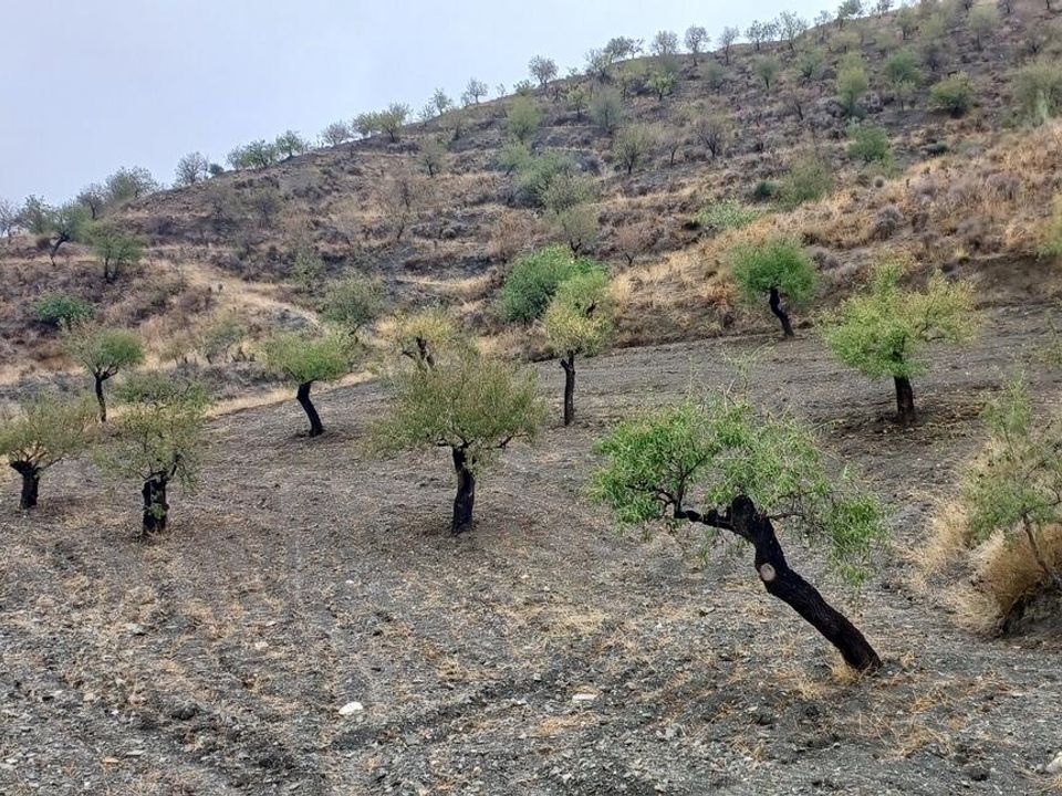Helårsgrund i Los Pardos, Almeria - foto 2