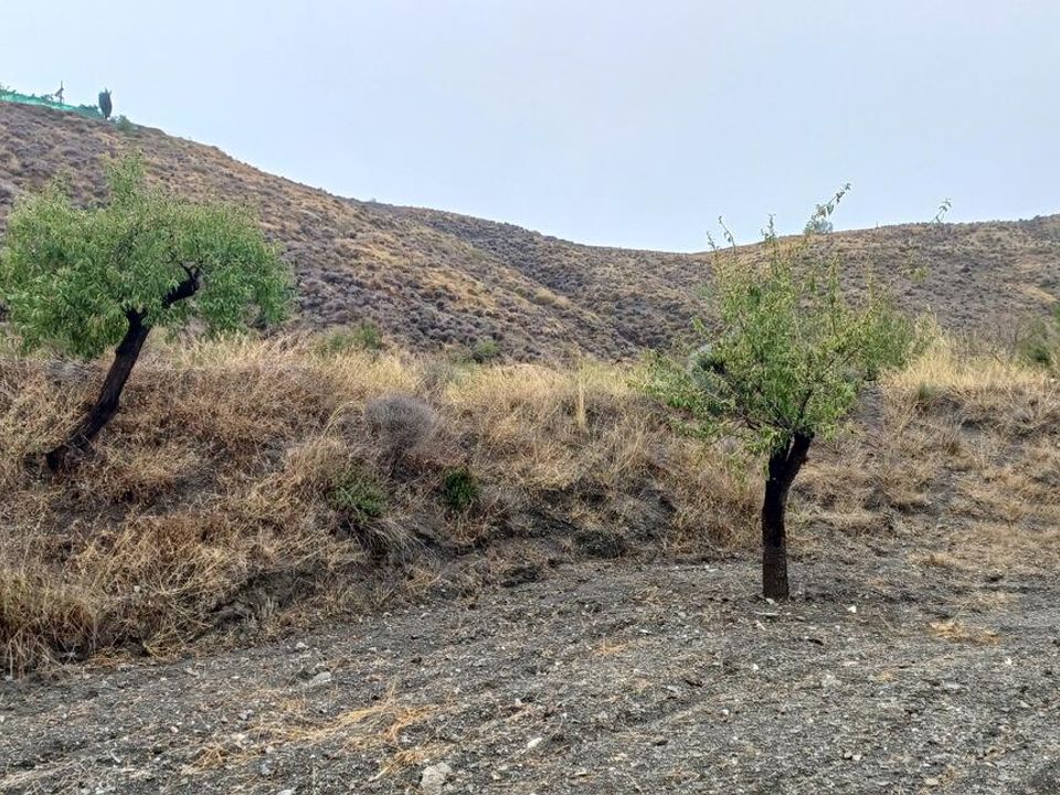 Helårsgrund i Los Pardos, Almeria - foto 3