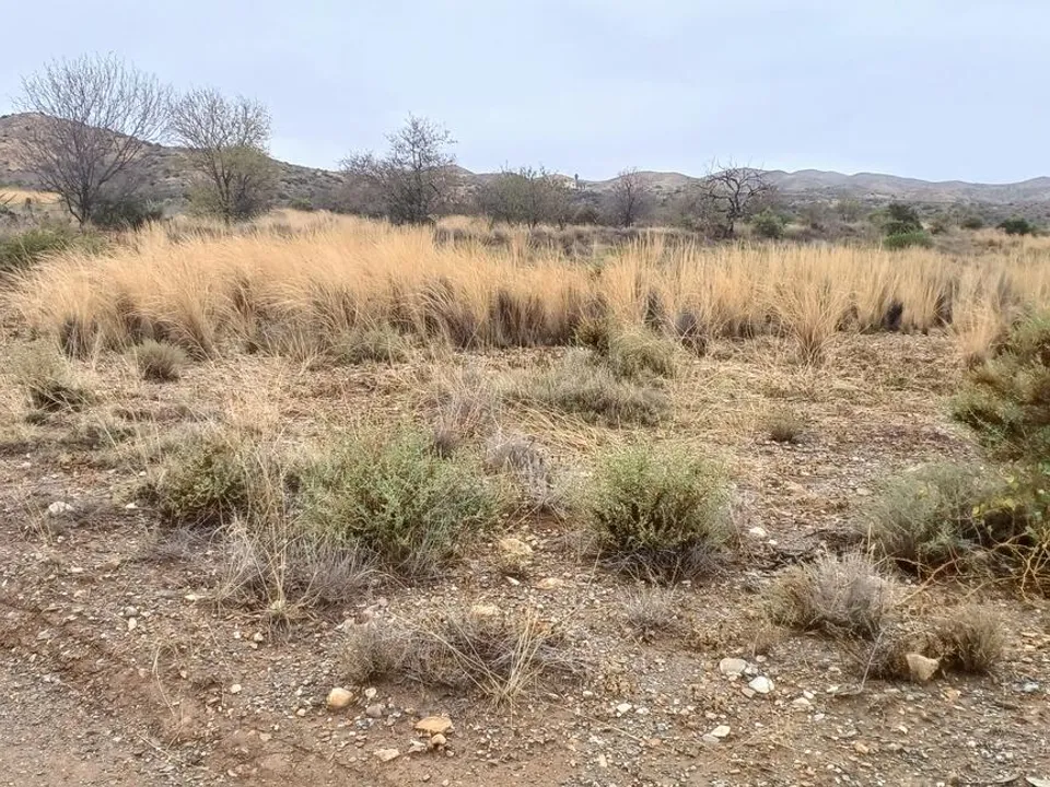 Helårsgrund i Urcal, Almeria - foto 3