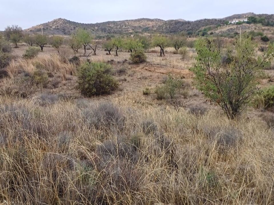 Helårsgrund i Urcal, Almeria - foto 4