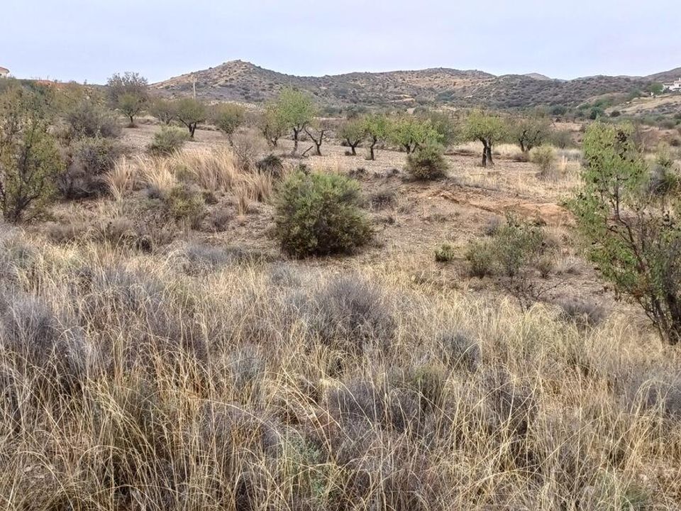 Helårsgrund i Urcal, Almeria - foto 5