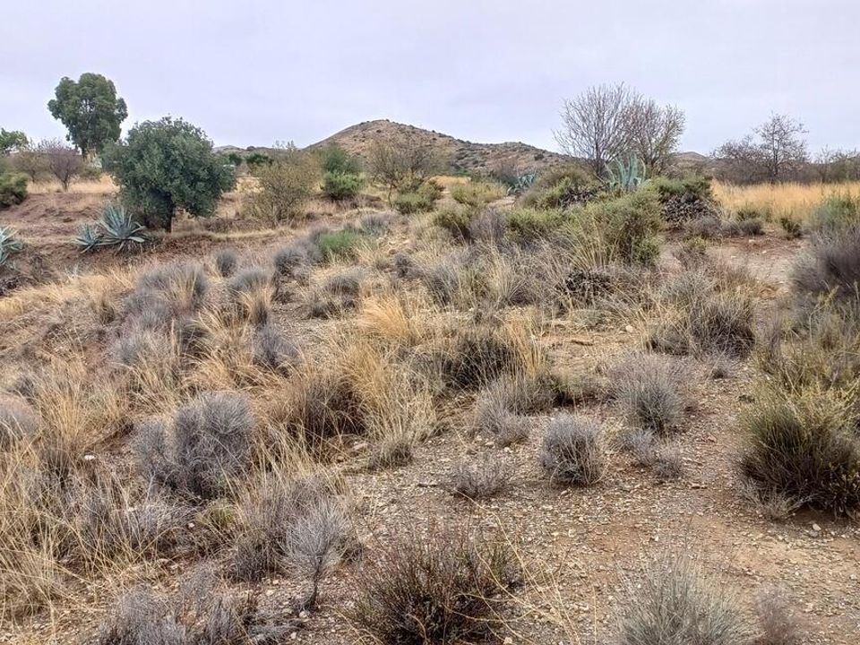 Helårsgrund i Urcal, Almeria - foto 3