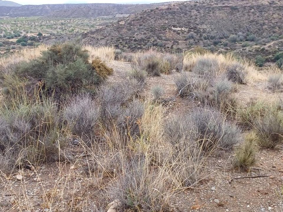 Helårsgrund i Urcal, Almeria - foto 4