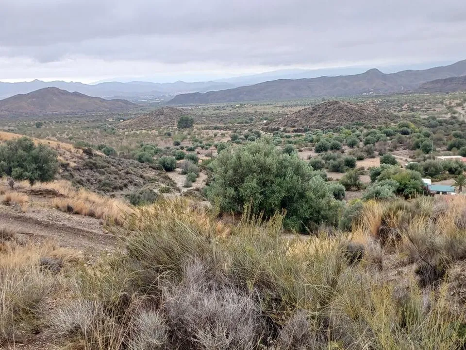 Helårsgrund i Urcal, Almeria - foto 5