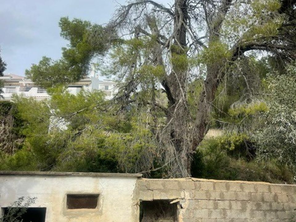 Helårsgrund i Alfaz del Pi, Alicante - foto 3