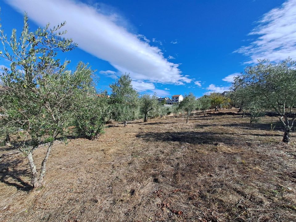 Helårsgrund i Covilha, Castelo Branco - foto 4