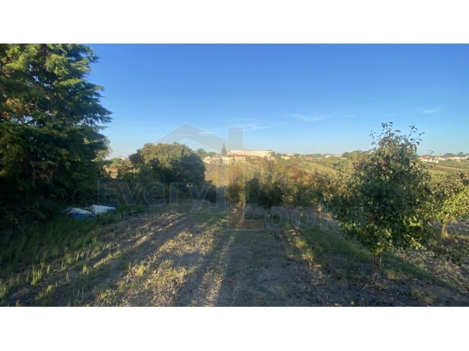 Helårsgrund i Obidos, Leiria - foto 3