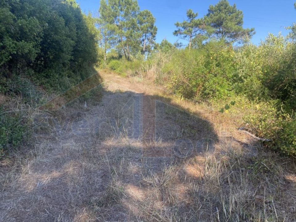 Helårsgrund i Obidos, Leiria - foto 4
