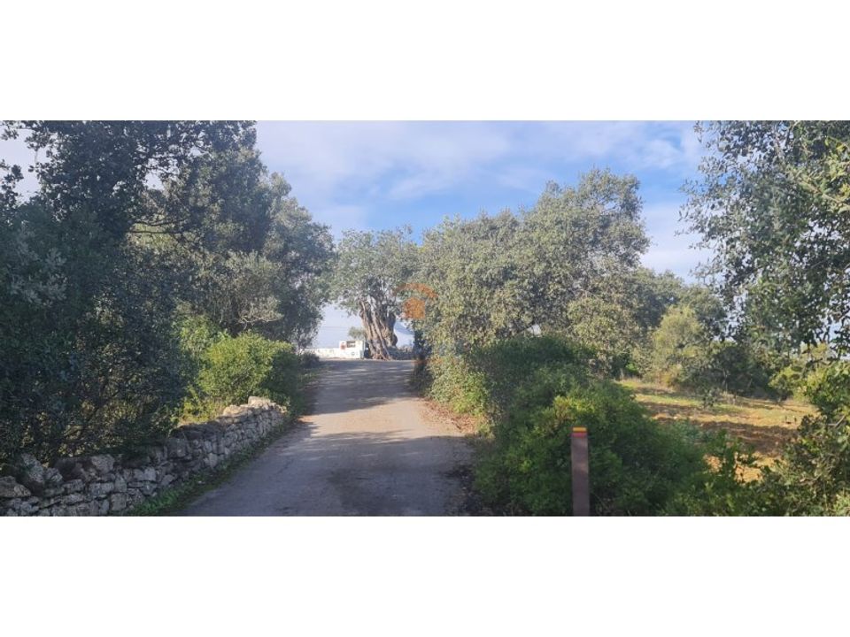 Helårsgrund i Sao Bras de Alportel, Faro - foto 4