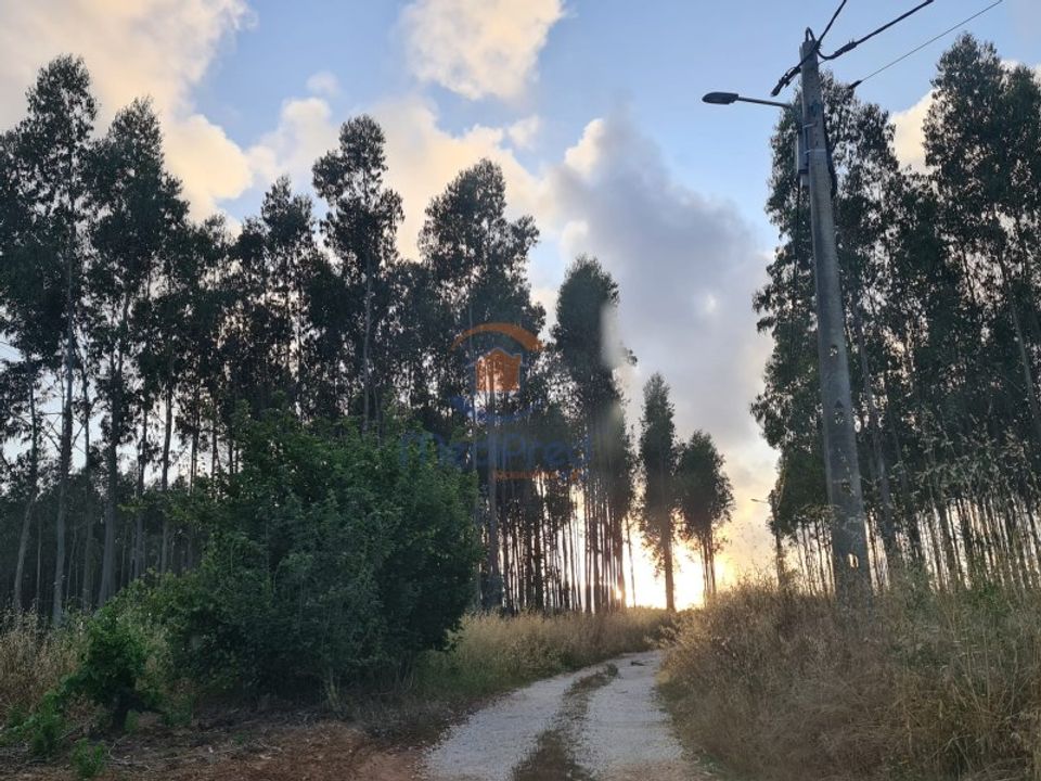 Erhvervsejendom i Torres Vedras, Lisbon - foto 3