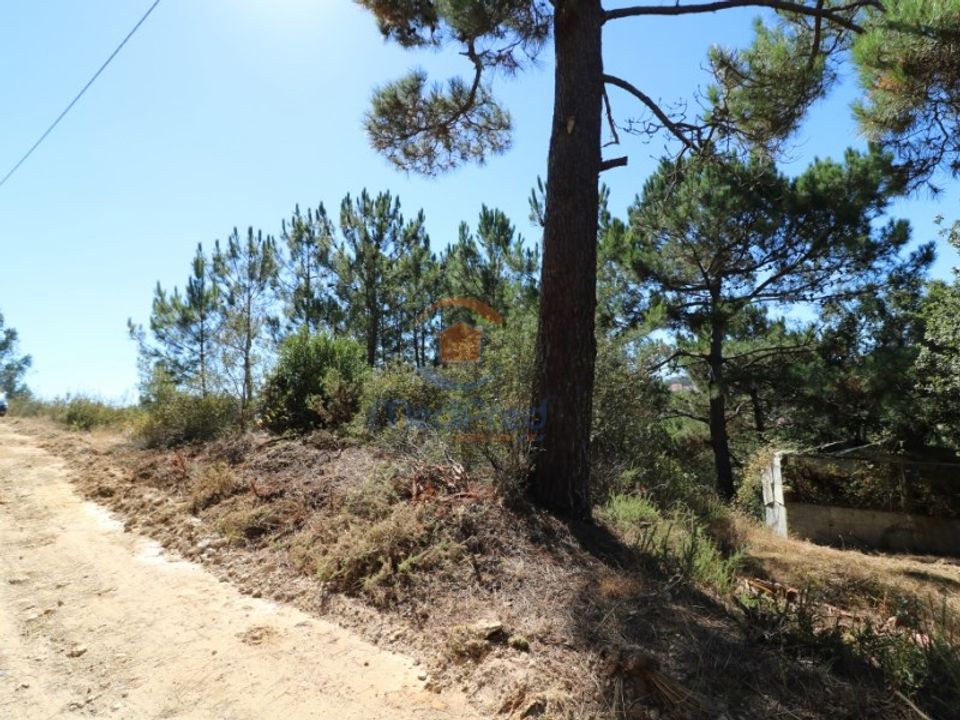 Helårsgrund i Matacaes, Lisbon - foto 3