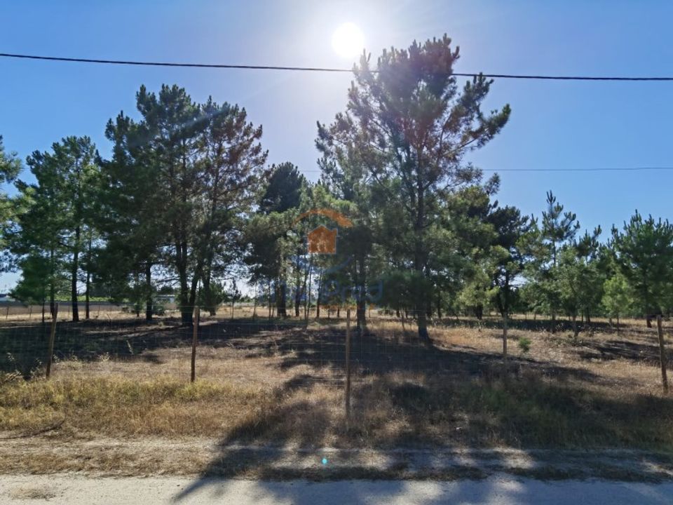 Helårsgrund i Pinhal Novo, Setubal - foto 1