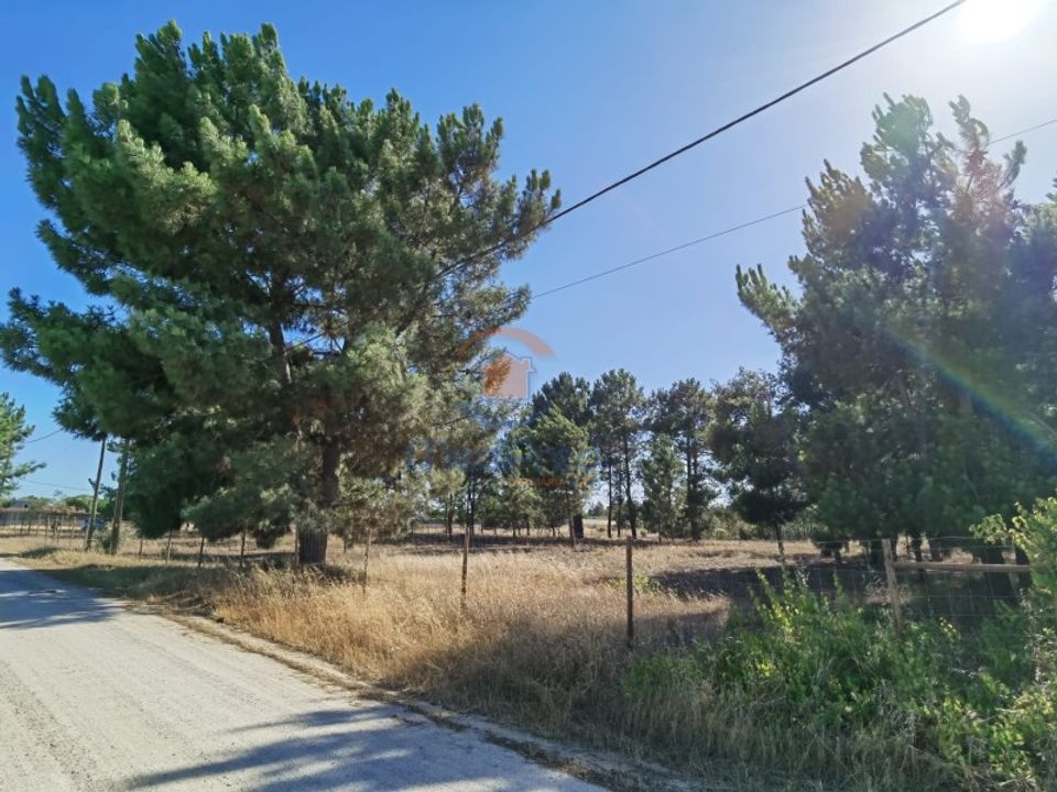 Helårsgrund i Pinhal Novo, Setubal - foto 2