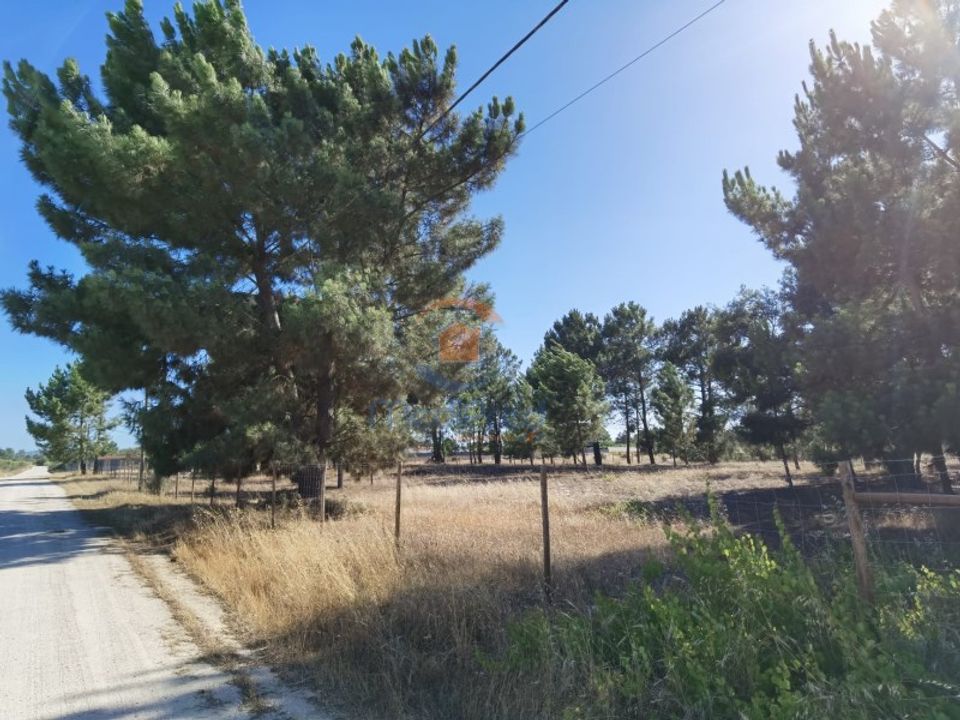 Helårsgrund i Pinhal Novo, Setubal - foto 4
