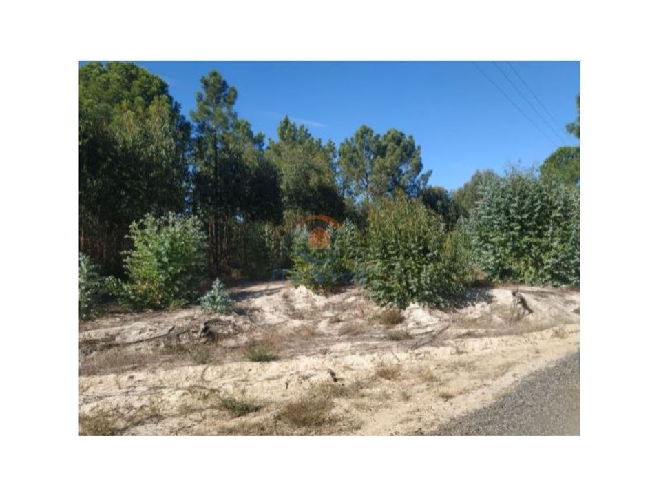 Helårsgrund i Montijo, Setubal - foto 1