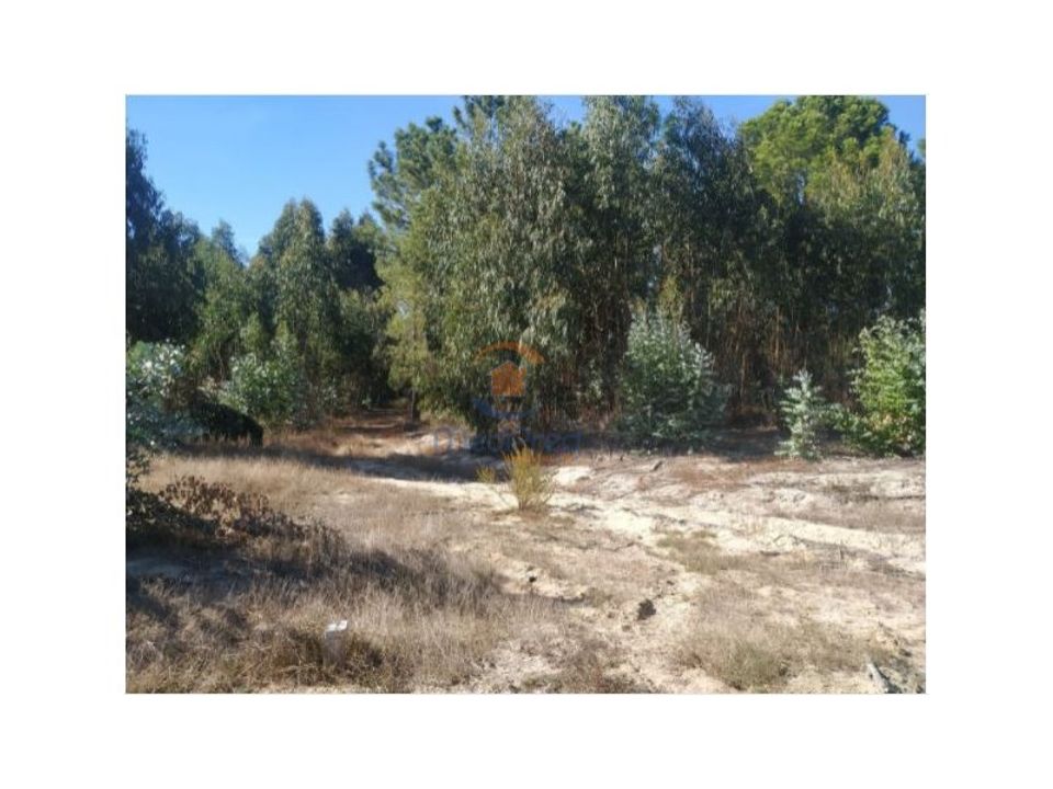 Helårsgrund i Montijo, Setubal - foto 2