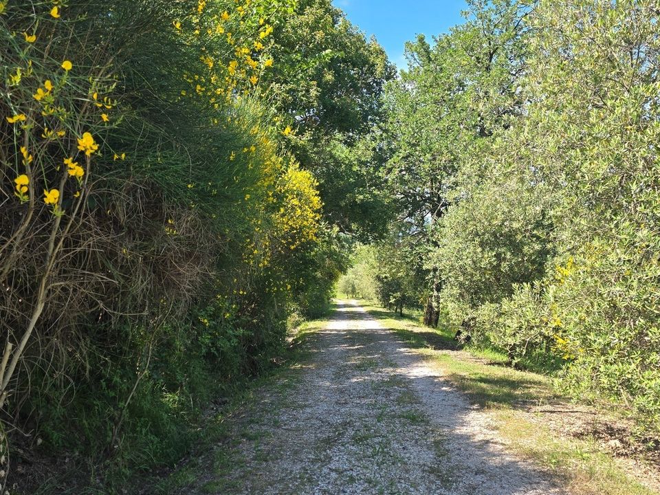 Villa i Castel Viscardo, Terni - foto 4