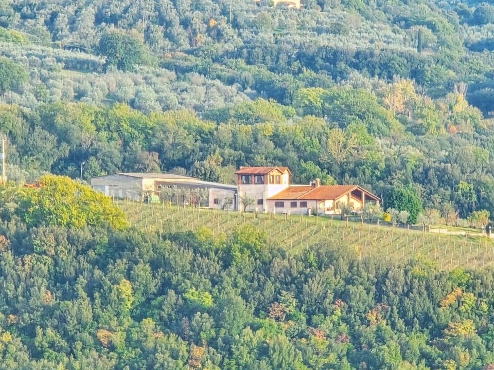 Villa i Montecchio, Terni - bilde 3