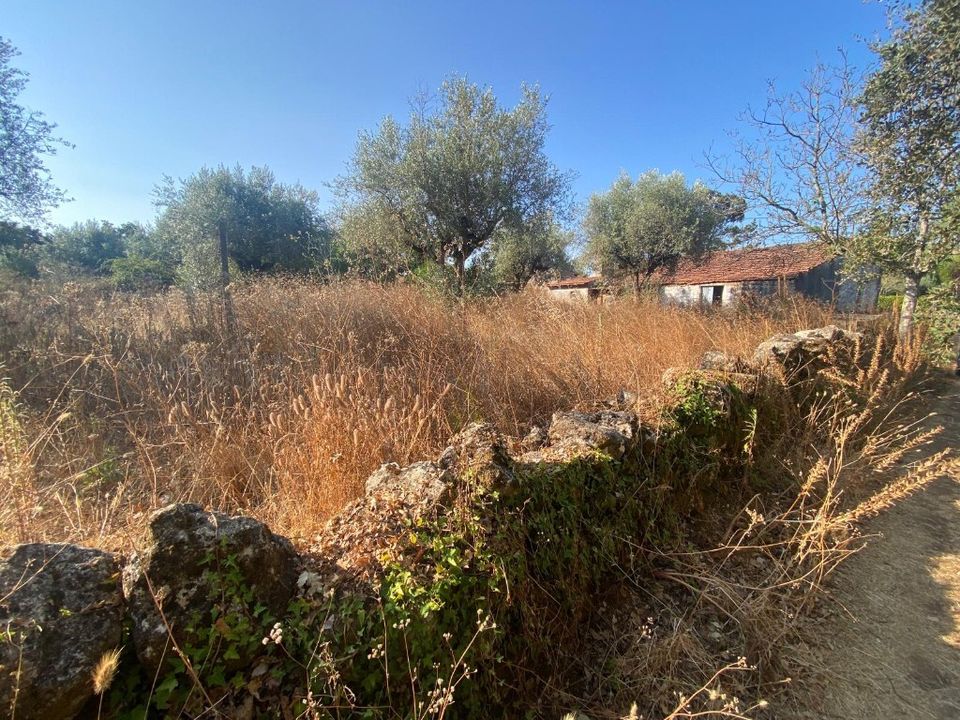Byhus i Ferreira do Zezere, Santarem - foto 5