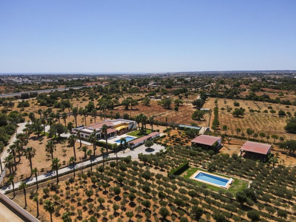 Farm i Guia, Faro - foto 3